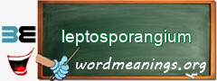 WordMeaning blackboard for leptosporangium